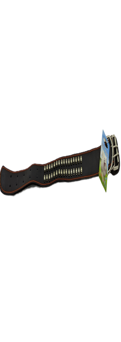 Kaiš za psa M941